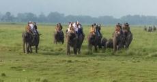 KNP opens for visitors
