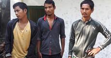 Timber smugglers arrested