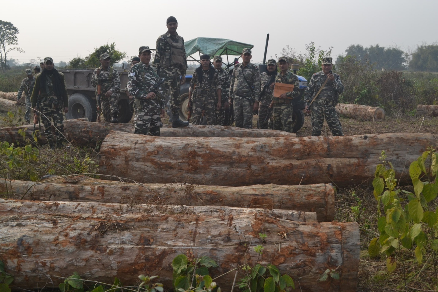 Drugs, timber seized