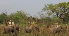Training for Manas National Park staff