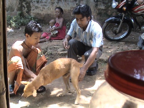 Early birds continues street dog rabies free programme