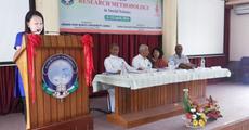 Scholars study ways for professional, scientific research 