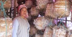 Workshop on mushroom from Apr 19