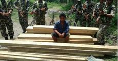 Timber smuggler nabbed