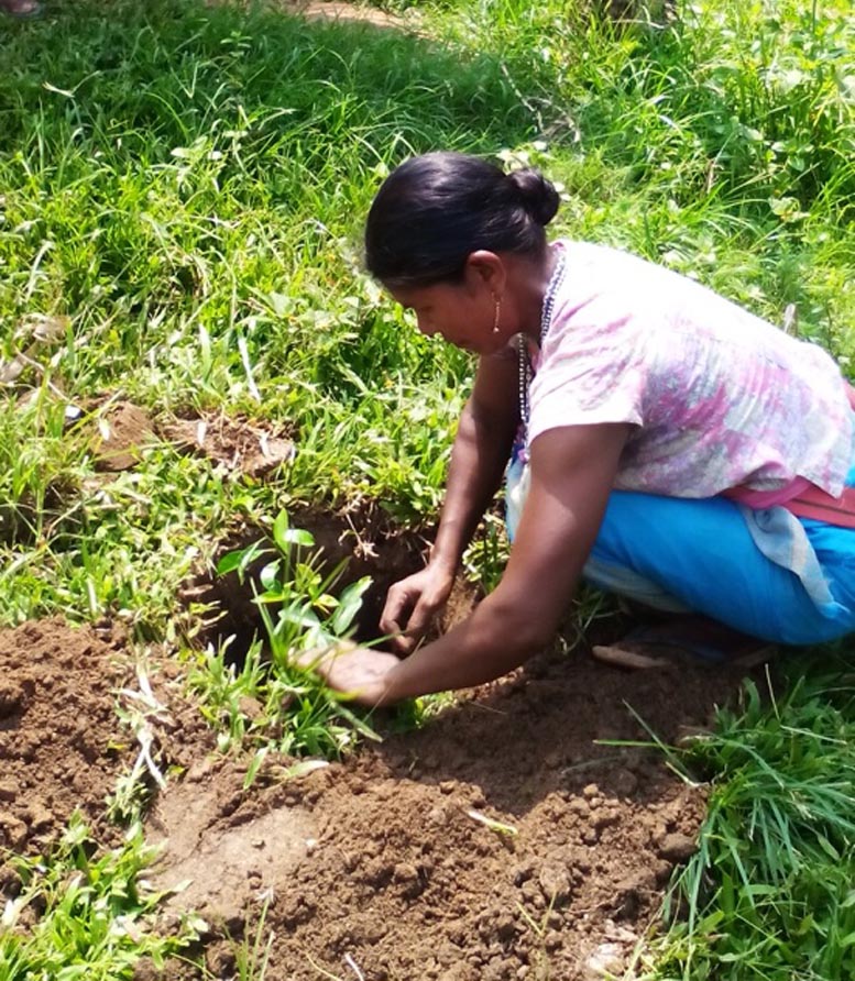 Pre-World Environment Day celebrated at Ri-bhoi