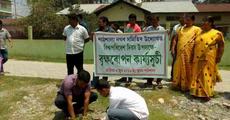 World Environment Day observed in Pathsala