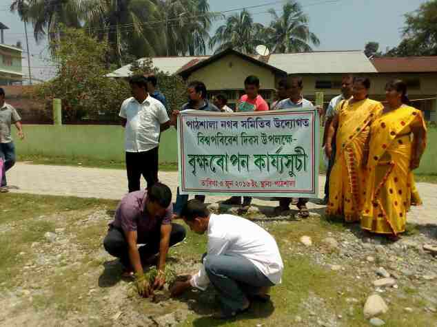 World Environment Day observed in Pathsala