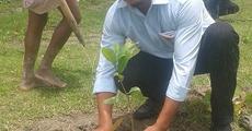 Students take up plantation drive at Tangla College