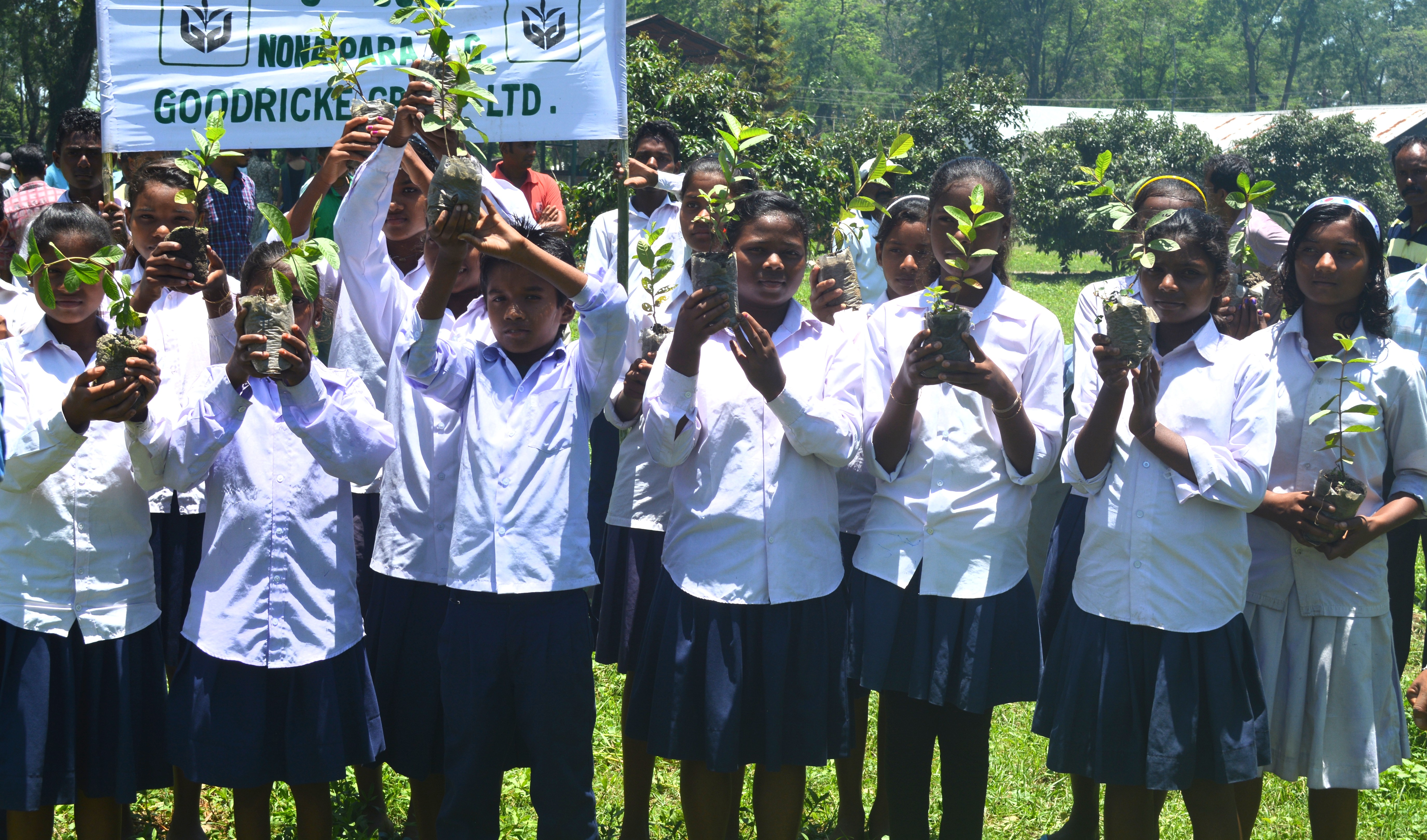 Nonaipara TE provides safe passage to wild elephants