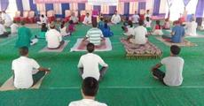 International Yoga Day celebrated at Tangla 