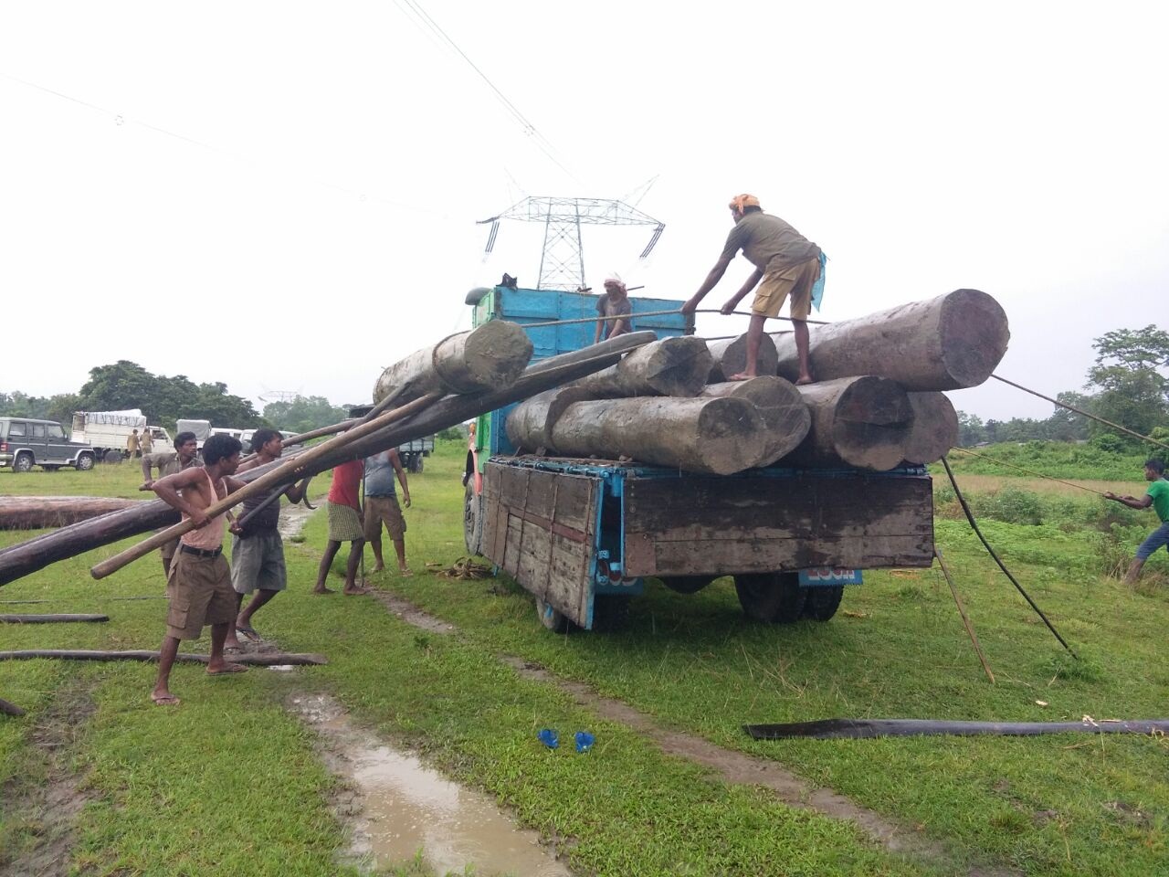 Timber seized