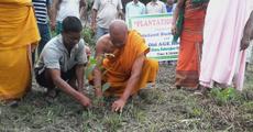 Plantation drive at Bodoland Buddhist Park