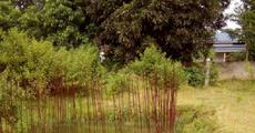 Raha water supply schemes in shambles  