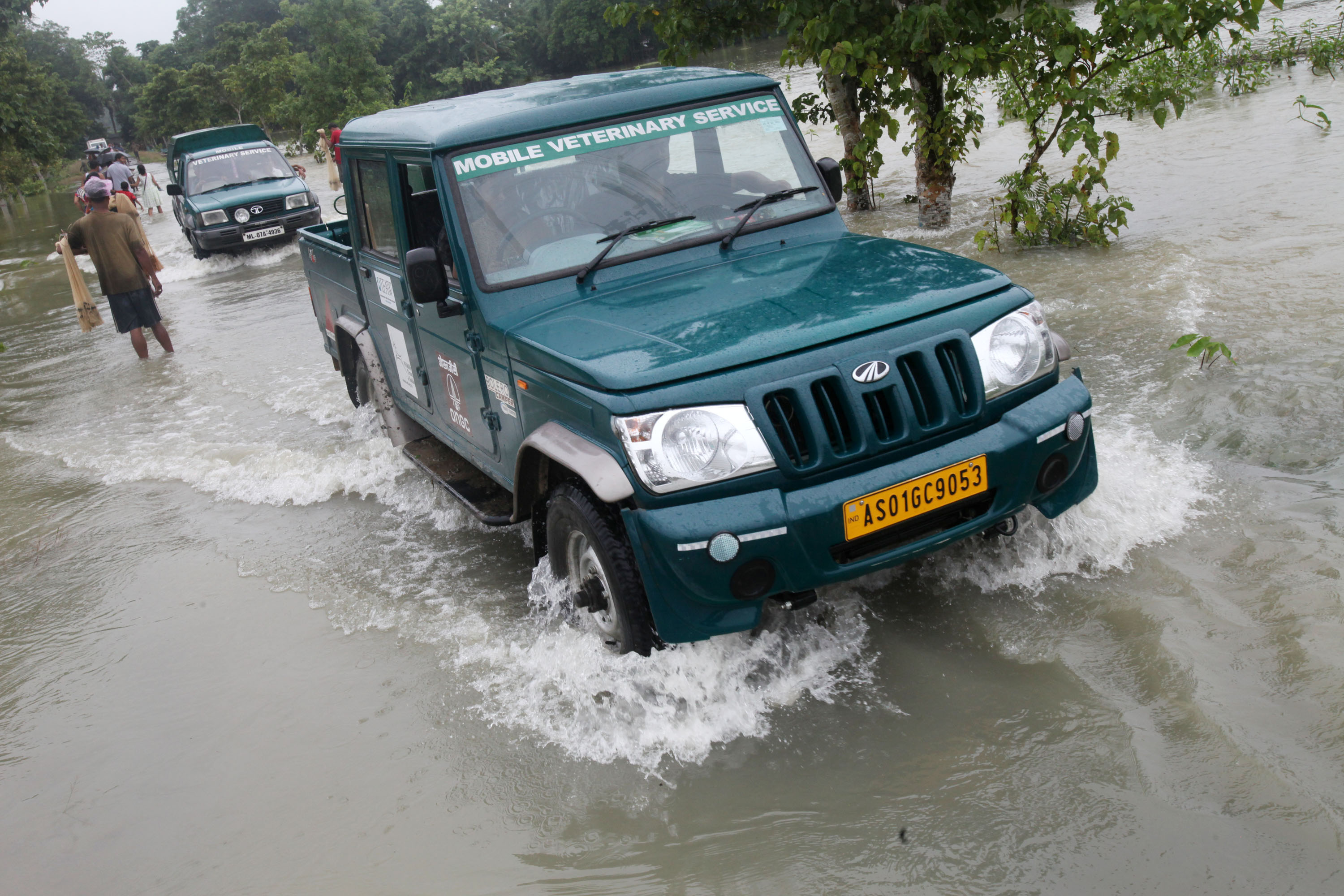 107 Wild rescue cases in Kaziranga Flood