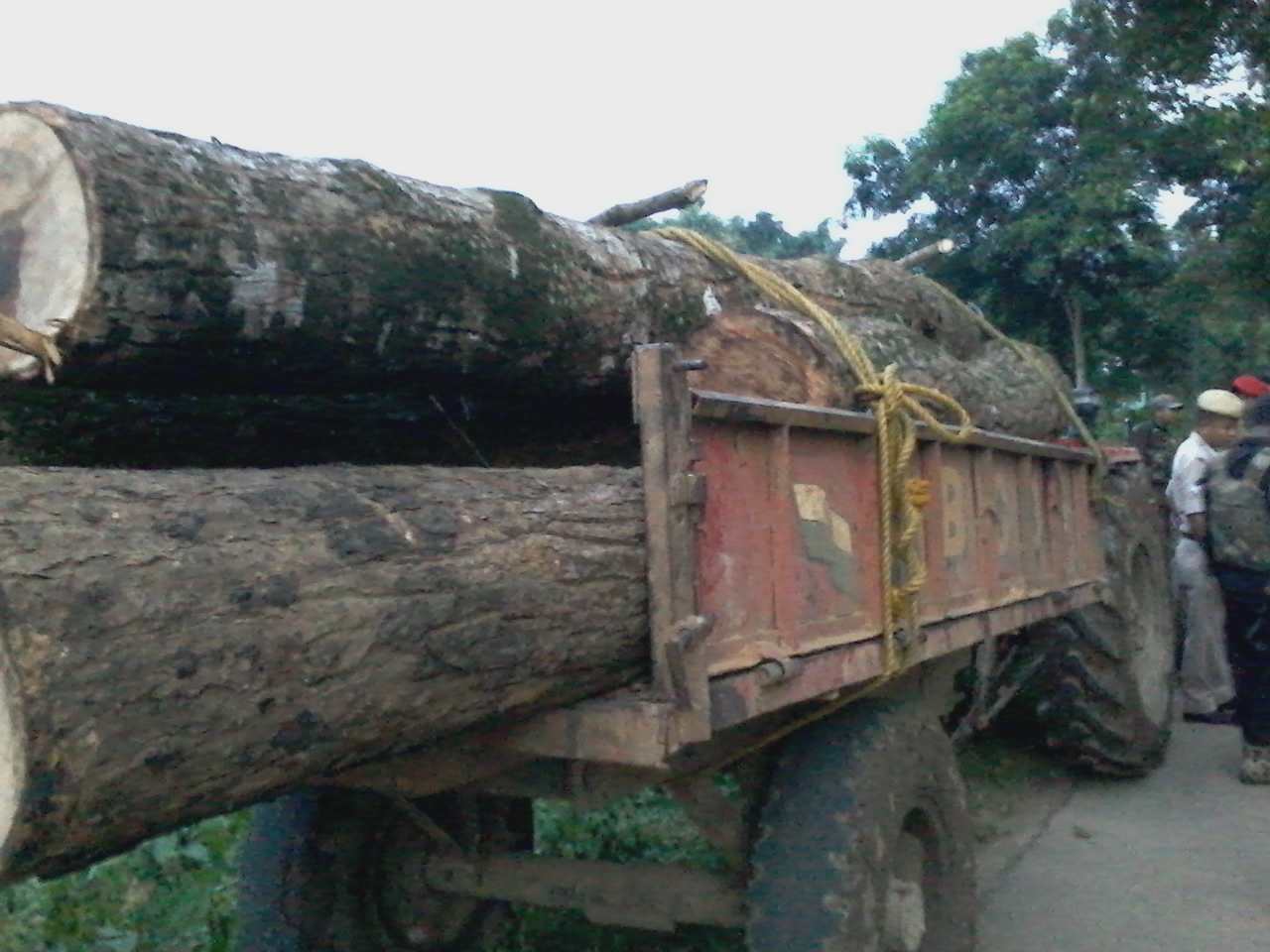 Pramila blames forrest officials for forest destruction