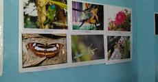 Photo exhibition at Bajali College