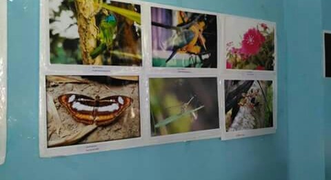 Photo exhibition at Bajali College