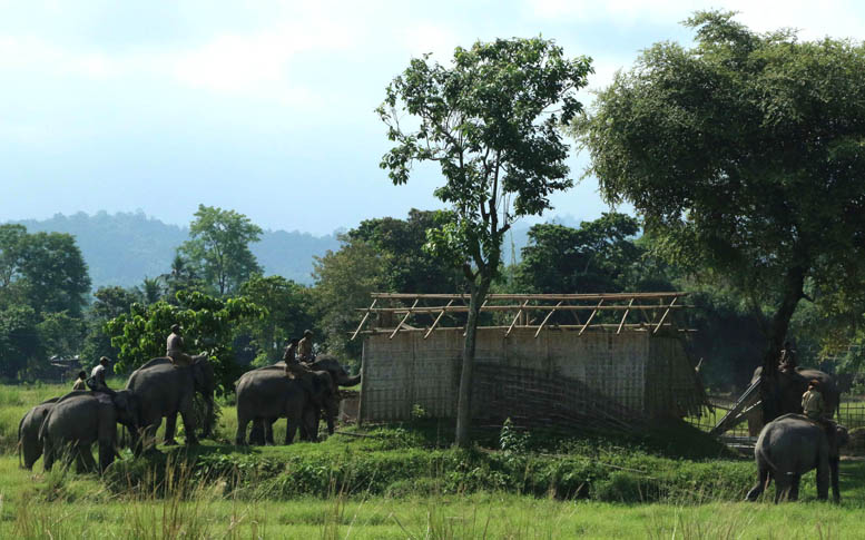 2 killed in Kaziranga firing