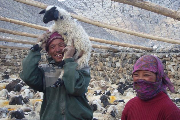 Snow Leopards Find Allies in Ladakh Villages Through Community-Led Conservation  Subheadline: