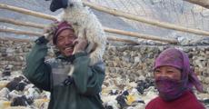 Snow Leopards Find Allies in Ladakh Villages Through Community-Led Conservation  Subheadline: