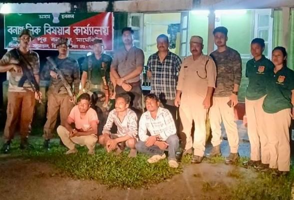 Three held for killing protected hornbill in Tinsukia