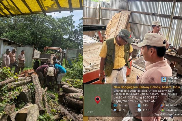 Forest raids seize illegal timber, bust sawmill in BTC