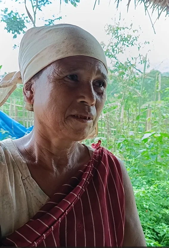 Shyntorbulia: A village beyond two rivers, waiting for development — photo 4