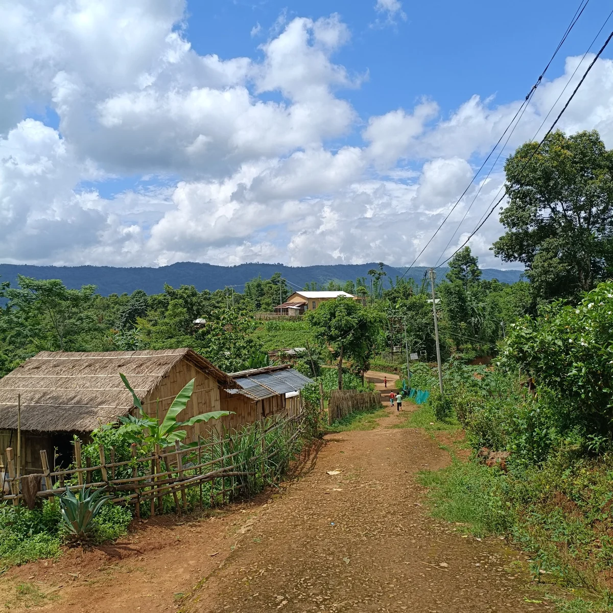 Shyntorbulia: A village beyond two rivers, waiting for development — photo 5