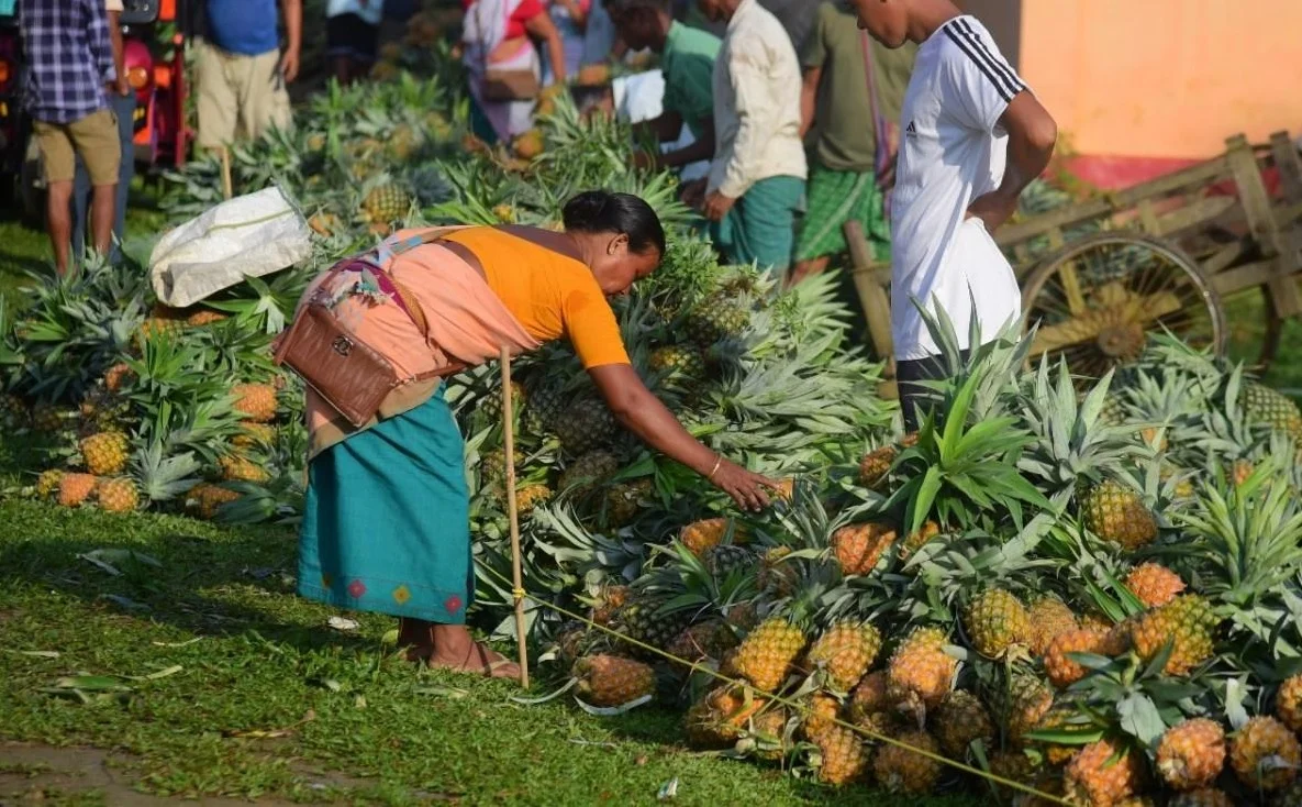 Assam Budget 2026–27: A Blueprint for Agricultural Transformation