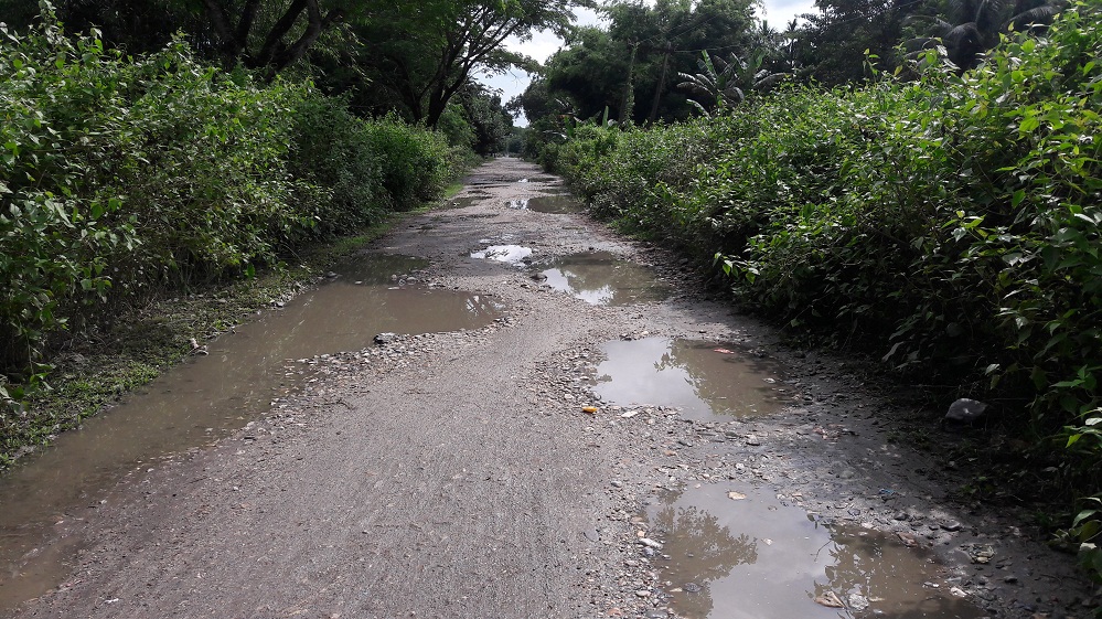 Historic Mekenzi Road lies in dilapidated state 