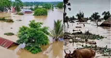 From Relief to Rights: Rethinking Flood Response in Assam