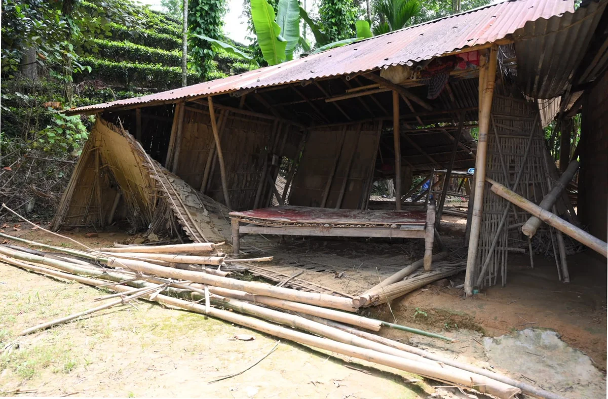 Former ULFA Members Launch Paddy Seedling Drive for Flood-Hit Farmers — photo 2