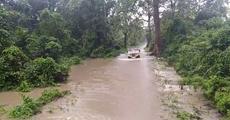 Bhutan blamed for devastation in Manas National Park