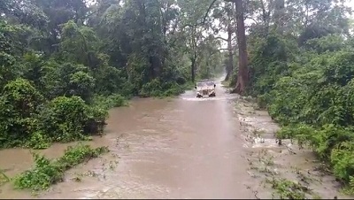 Bhutan blamed for devastation in Manas National Park