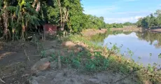 Dikhhow River Erosion Poses Fresh Threat to Sivasagar–Nazira Road