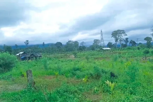 Illegal activities reported inside Sikhna Jwhwlao National Park