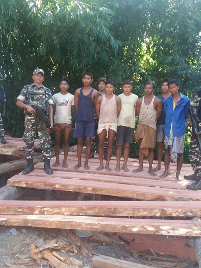Timber smugglers arrested