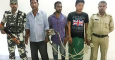 Poachers arrested, rhino horn recovered at Bajali