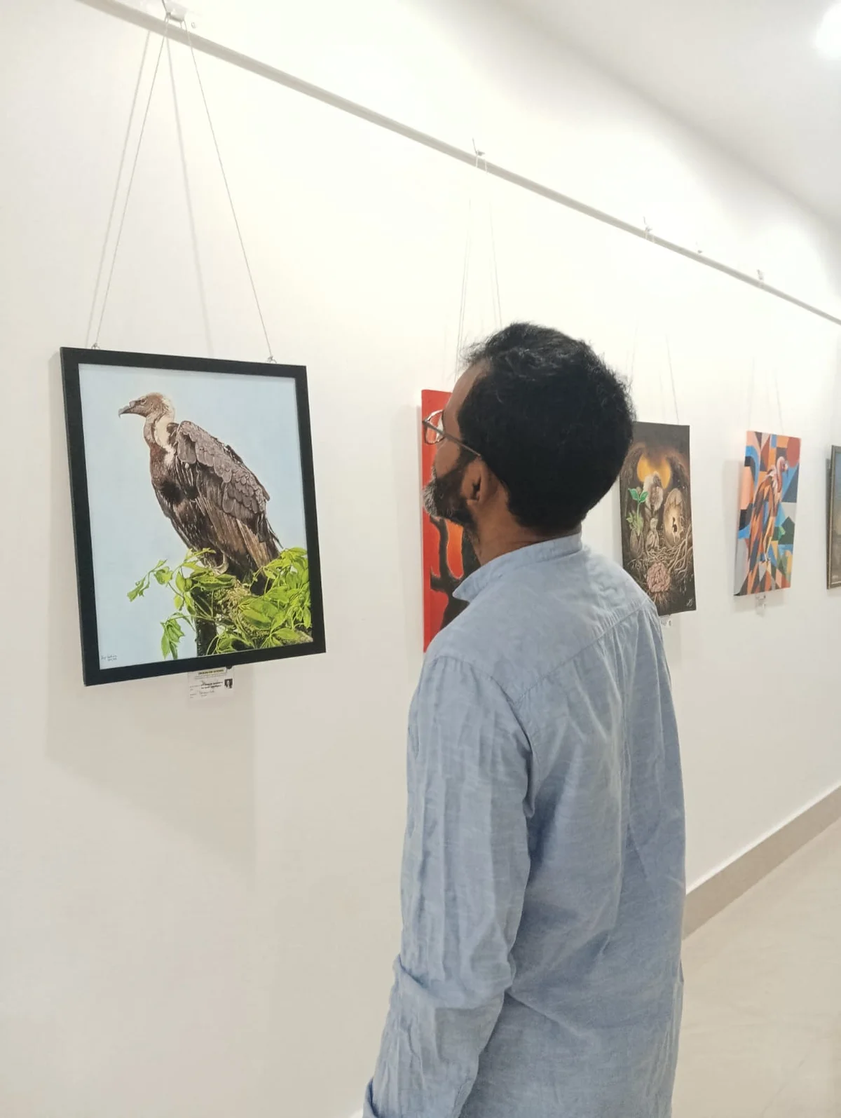 Art exhibition raises awareness for vulture conservation in Jorhat