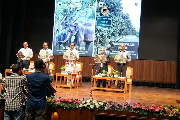 GPS Study Maps Elephant Movement Across Assam, Highlights Key Corridors