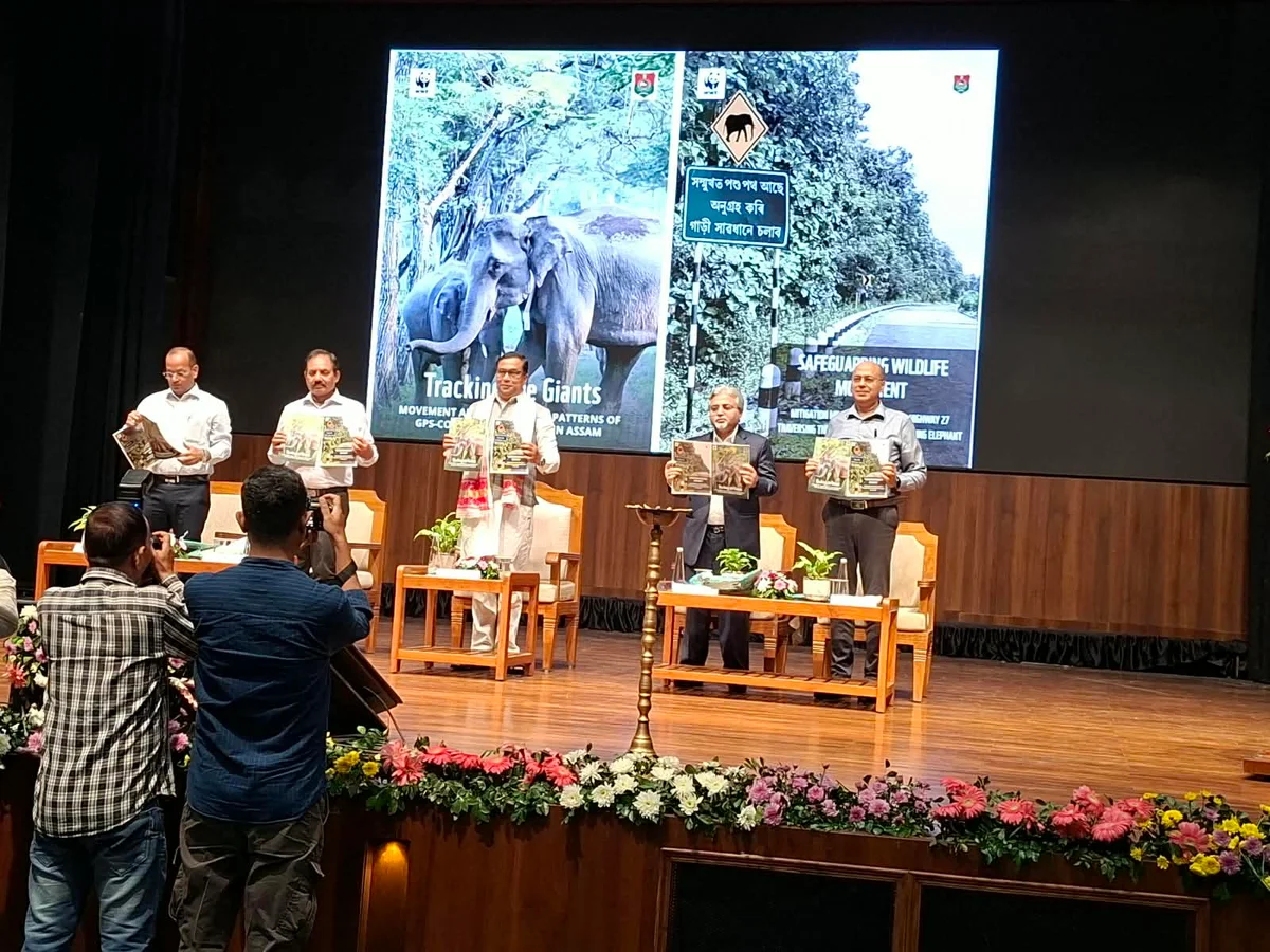 GPS Study Maps Elephant Movement Across Assam, Highlights Key Corridors