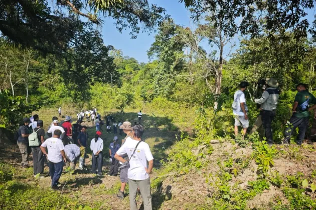 Butterfly Meet Documents Over 185 Species in Manas Landscape