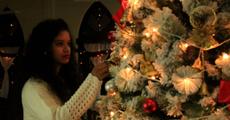 Joy of Christmas evening