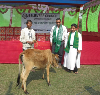 Livestock distributed