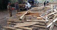 Illegal sawmill seized
