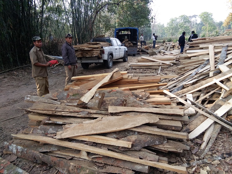 Illegal sawmill seized