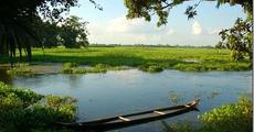 World Wetlands Day 2017