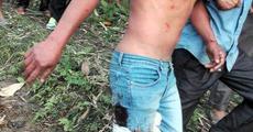 11 injured while chasing leopard