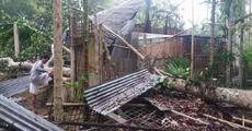 Huge storm lashes upper Assam
