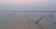 Erosion - dark side of the Brahmaputra